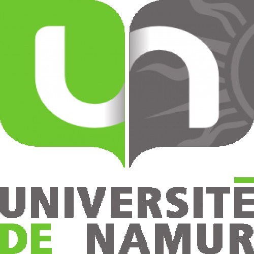 University of Namur, 5000 Namur, Belgium
