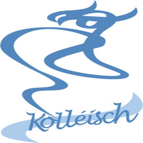 Lycée Athénée de Luxembourg, 24 Boulevard Pierre Dupong, 1430 Luxembourg