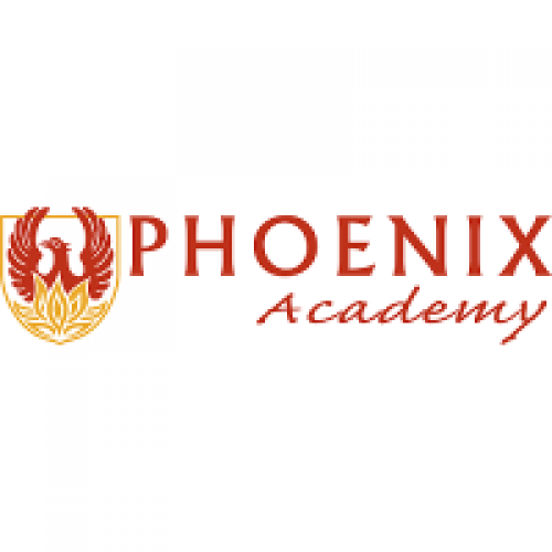 Phoenix Academy, 223 Vincent St, Australia